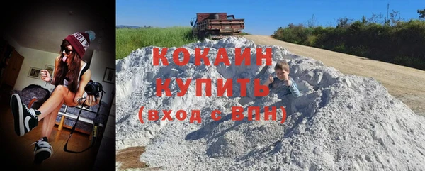 apvp Гусь-Хрустальный