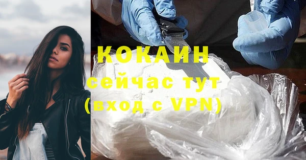 apvp Гусь-Хрустальный